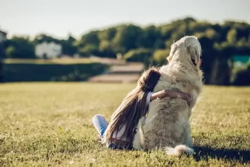 Little girl hugging a very big dog sitting in the grass relaxing